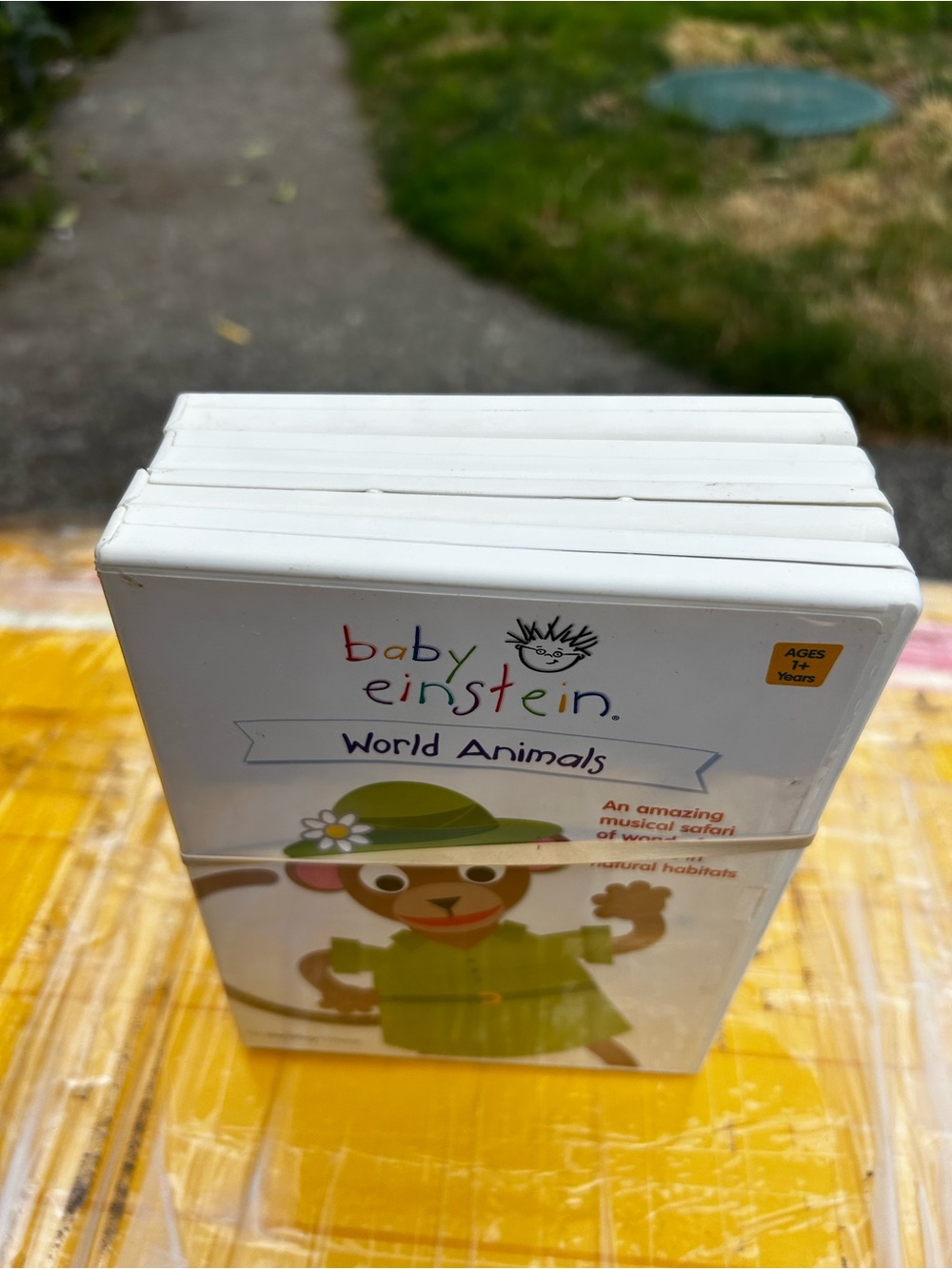 Baby Einstein World Animals DVD - White (4DVDS)